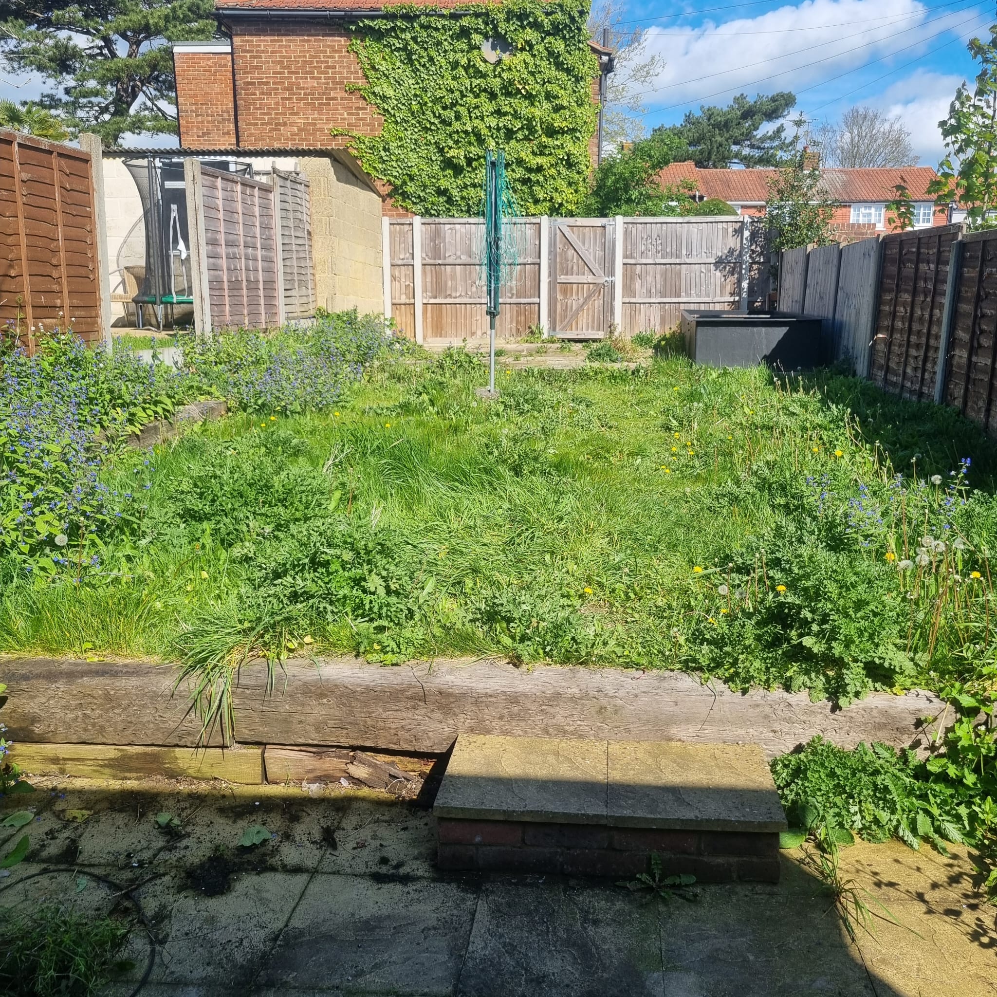 Maintenance Gardens Portfolio (1)